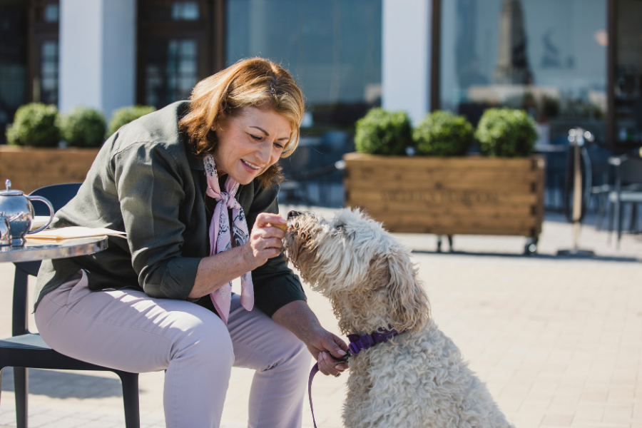 Dogs Disclosed - KEEP YOUR DOG'S BRAIN HAPPY Providing mental stimulation  for dogs is often overlooked, but is so important in helping dogs to be  happy, relaxed and content by giving them