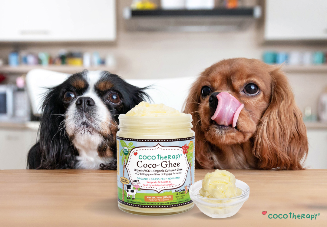 Introducing Coco-Ghee: Discover the Power of Coconut Oil and Ghee for Pets!