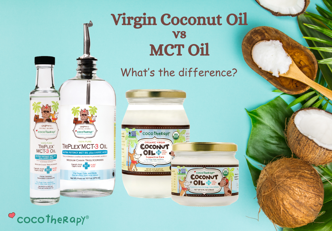 What's the Difference Between MCT Oil and Virgin Coconut Oil?