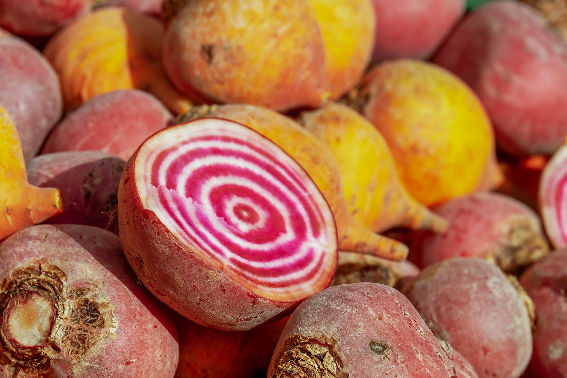 Beets: The Colorful Ingredient with Big Benefits for Your Pet