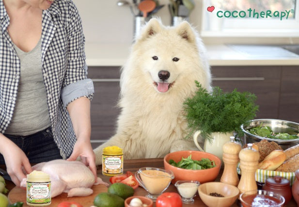 Celebrate National Cook for Your Pets Day: Healthy Recipes with Coco-Gold and Coco-Ghee