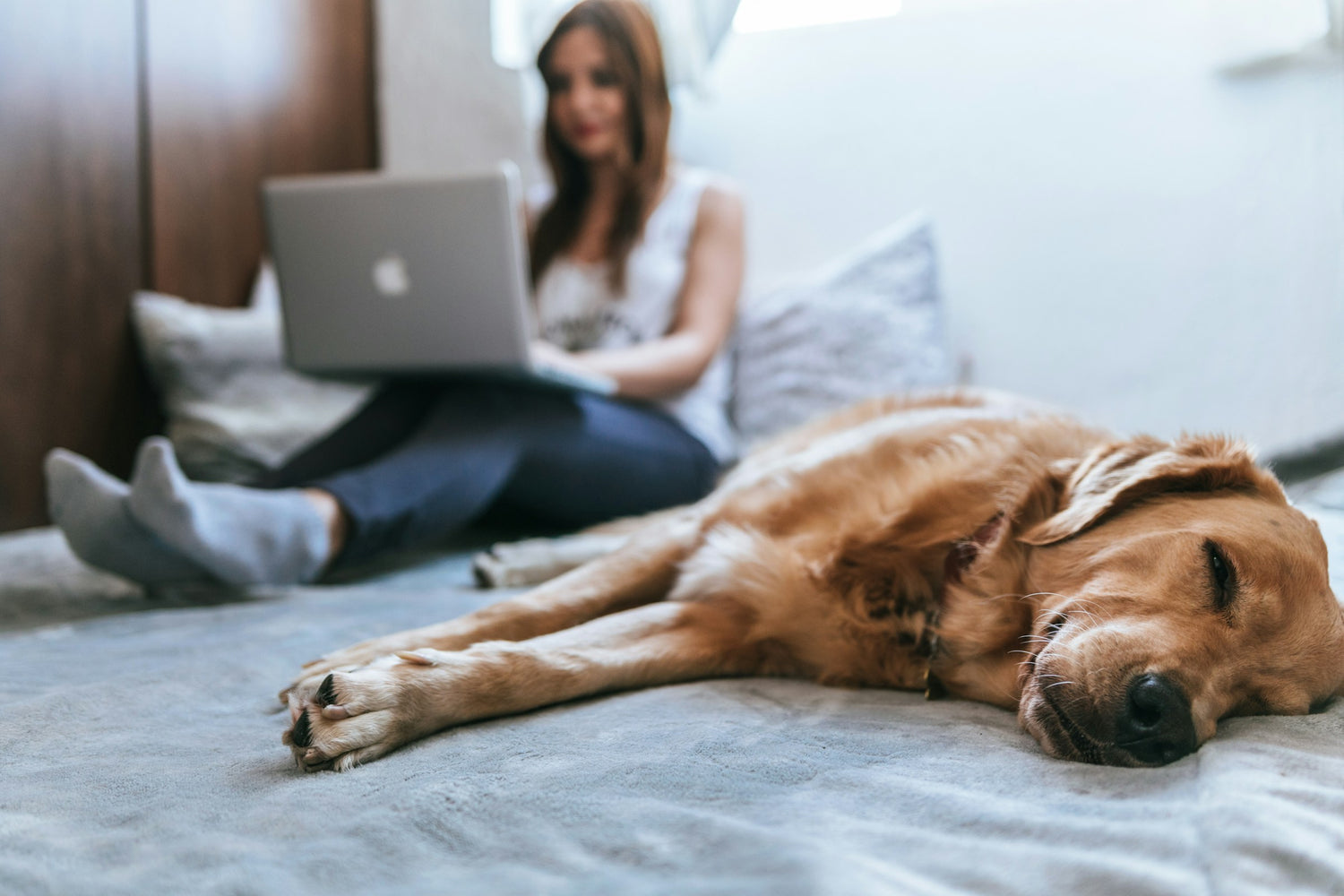 Is Pet Insurance Worth It?