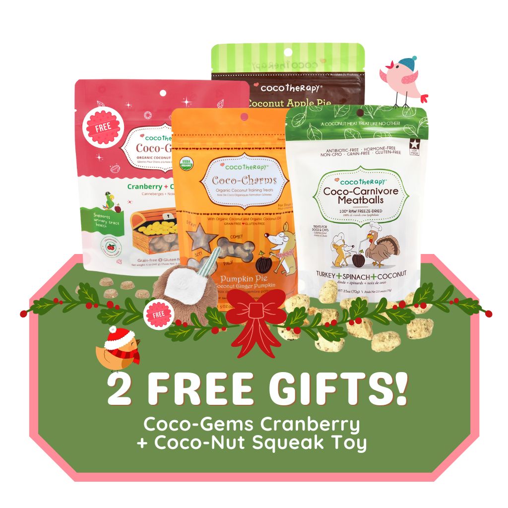 Let Us Feast! Gift Pack -  Coco-Carnivore Turkey Meatballs + Maggie's Macaroon Apple + Coco-Charms Pumpkin Pie + FREE Coco-Charms Cranberry + FREE Coco-nut Toy ( $21.25 Value )