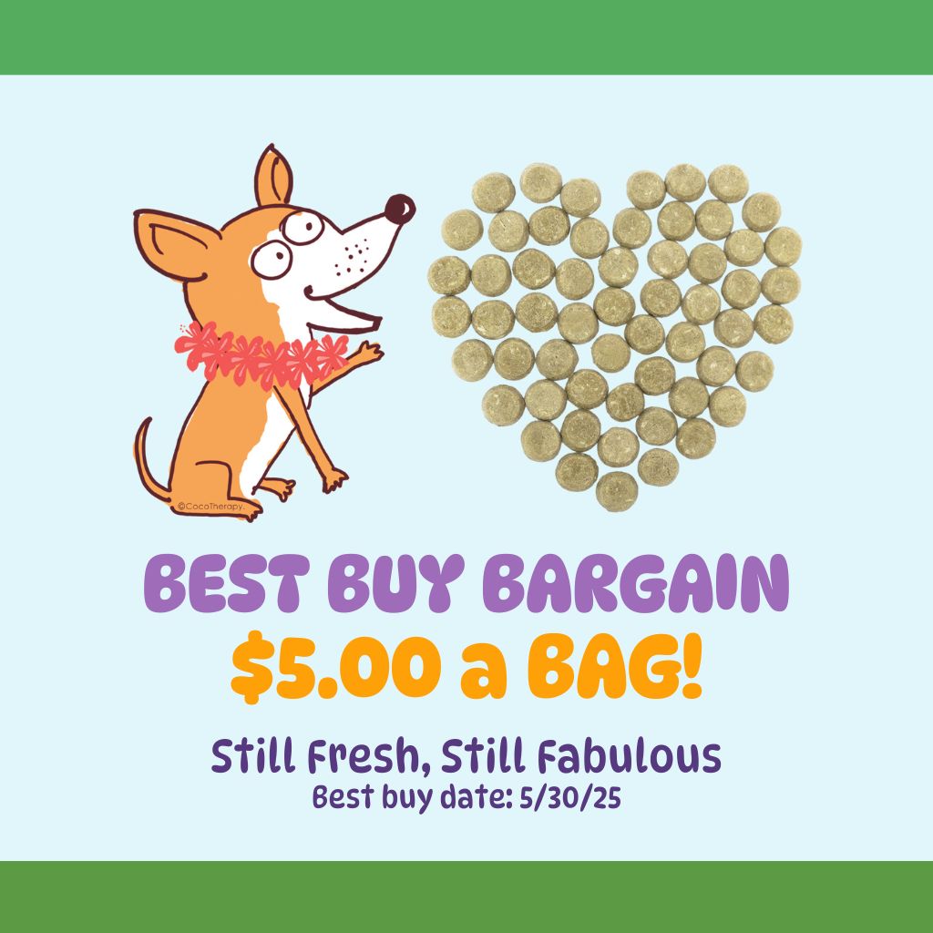 Coco-Gems Training Treats Moringa + Coconut - Organic Training Treat for dogs - BEST BY BARGAIN! Still Fresh, Still Fabulous - Best By Date: 05/30/2025