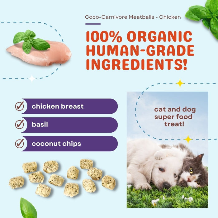 Coco Carnivore Meatballs | Chicken Basil | Coconut Chips For Dogs