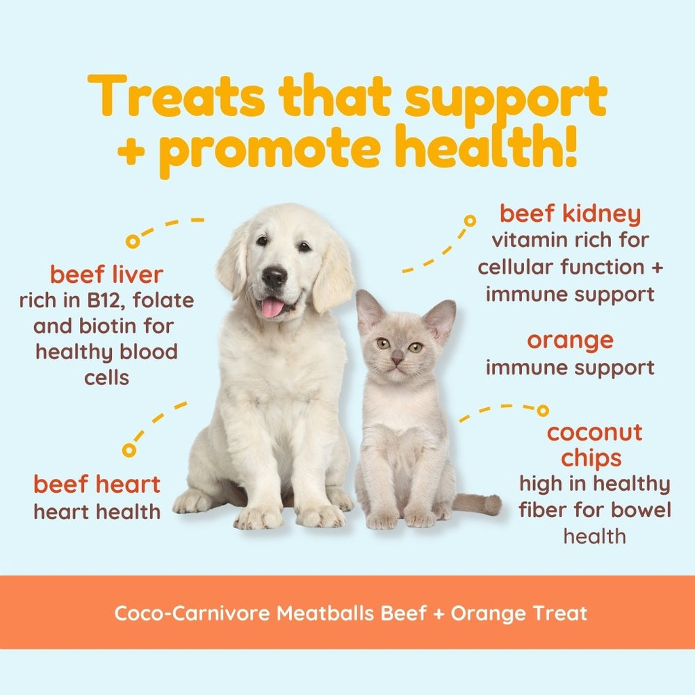 Coco Carnivore Meatballs | Beef Orange | Coconut Chips For Pets